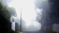 A street with beautiful mist in the kodaikanal tour place.