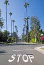 Street in Beverly Hills district, Los Angeles