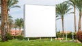 Street billboard on a splendid background with palm trees