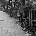 Street black and white in Paris, France