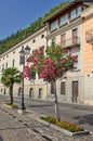 Street with blooming trees, Toscolano town, Italy