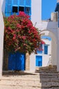 A street with blue windows and doors in Sidi Bou Said. Flowering tree and cat in Tunisia - June 18 2019 Royalty Free Stock Photo