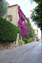 Street in Bormes Les Mimosas