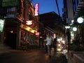 Street with bright billboards in the center of Kathmandu. Nepal