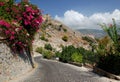 A street with bright pink flowers and a view of part of the Alanya Kalesi fortress in Alanya, Turkey