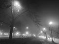 Street, Building and Fog at Night in Washington DC