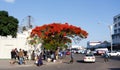 Street in Bulawayo Zimbabwe