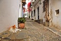 A street of Cadaques, Spain