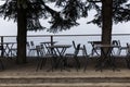 Street cafe in the park. Tables and chairs among the fir trees on a gray foggy day