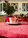 Street Cafe on table cup of coffee and pink flowers pink coral tablecloth on the table and yellow chair cloth morning breakfast