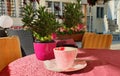 Street Cafe on table cup of coffee and pink flowers pink coral tablecloth on the table and yellow chair cloth morning breakfast