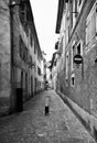 Street of Chambery, France