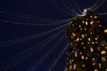 Street city Christmas tree at night. The garlands are burning. Holiday decorations and toys. Garland of lights. Royalty Free Stock Photo