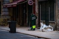 Street Cleaner at Work in Early Morning Lisbon, Portugal Royalty Free Stock Photo