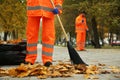 Street cleaners sweeping fallen leaves outdoors on autumn day, closeup Royalty Free Stock Photo