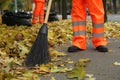 Street cleaners sweeping fallen leaves outdoors on autumn day, closeup Royalty Free Stock Photo