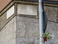 Street corner with granite empty sign-plates and a single plant in a flowerpot hanging on a pipe