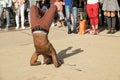 A street dancer doing a dance show in a Paris street Royalty Free Stock Photo