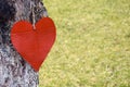 Street decoration. One handmade red metal heart is hanging on tree. Blurred background of green grass. Copy space. Selectiv Royalty Free Stock Photo