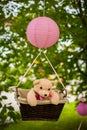 Street decorations for a children`s party. A basket with a teddy bear in a air balloon in a green park