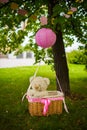 Street decorations for a children`s party. A basket with a teddy bear in a air balloon in a green park