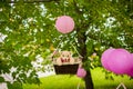 Street decorations for a children`s party. A basket with a teddy bear in a air balloon in a green park