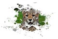 Street Digital Art, Beautiful Cheetah, Abstract Design, Drawing, Painting