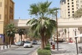 street in dubai, united arab emirates, cars, skyscrapers, palm trees