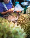 Street Durian stall in market