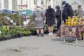Street fair of ornamental and garden plants. Buyers choose products and communicate with the seller