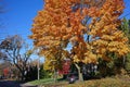 Street with fall colors Royalty Free Stock Photo