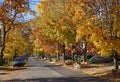 Street with fall colors Royalty Free Stock Photo