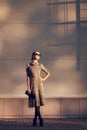 Street fashion photo elegant pretty woman in a leopard dress