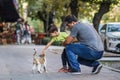 Father and son play with cute street cat