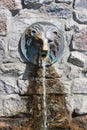 Street faucet with a lion head Royalty Free Stock Photo