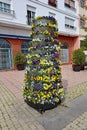 A street flower decoration in a public plaza in Estepona in Spain Royalty Free Stock Photo