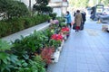 The Street Flower Shop in Seoul, owner setting up her business. Pedestrian.