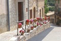 Scenic and rustic street with flowerpots in Valldemossa, Majorca