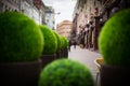 Street flowers beside cafe Royalty Free Stock Photo