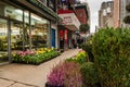 Street Flowers at Chelsea Flower Market - New York City Royalty Free Stock Photo