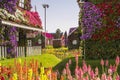 Street of flowers in the Miracle Garden park, Dubai Royalty Free Stock Photo