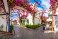 Street with flowers in Puerto de Mogan