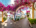 Street with flowers in Puerto de Mogan