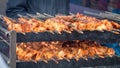 Street Food. Chicken On Skewers Cooking Over Charcoal Grill