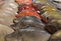 fishmonger fish Street food fish stall stock, photo, photograph, image, picture