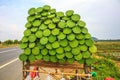 Street Food of Fresh Lotus Fruit Is Displayed for Sale along a H Royalty Free Stock Photo