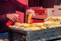 Street Food. Grilled Corn On The Cob, Mexican Elote.