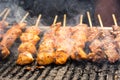 Street food - grilled shish kebab