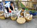 Street Food Seller in Chiang Ria, Thailand Royalty Free Stock Photo