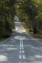 The street in the forest Royalty Free Stock Photo